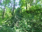 washpk_or_09_27_06 011