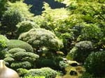 washpk_or_09_27_06 021