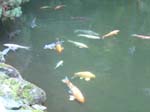 washpk_or_09_27_06 029