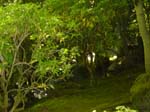 washpk_or_09_27_06 037