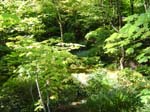washpk_or_09_27_06 038