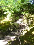 washpk_or_09_27_06 042