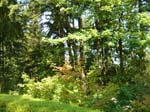washpk_or_09_27_06 049