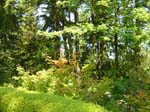washpk_or_09_27_06 050