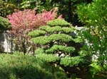 washpk_or_09_27_06 052