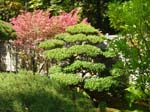 washpk_or_09_27_06 053