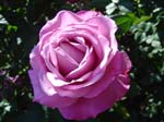 washpk_or_09_27_06 059