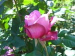 washpk_or_09_27_06 060