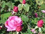 washpk_or_09_27_06 062