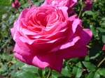 washpk_or_09_27_06 063