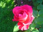 washpk_or_09_27_06 064