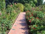 washpk_or_09_27_06 065