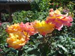 washpk_or_09_27_06 068
