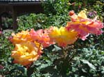washpk_or_09_27_06 069