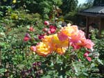 washpk_or_09_27_06 070