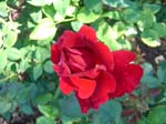 washpk_or_09_27_06 072
