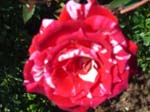 washpk_or_09_27_06 073