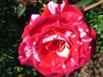 washpk_or_09_27_06 074