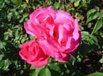 washpk_or_09_27_06 075