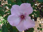 washpk_or_09_27_06 076