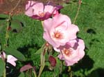 washpk_or_09_27_06 077