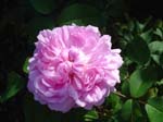 washpk_or_09_27_06 078