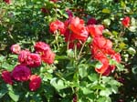 washpk_or_09_27_06 079