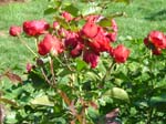 washpk_or_09_27_06 080
