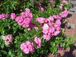 washpk_or_09_27_06 081