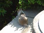 washpk_or_09_27_06 082