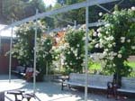 washpk_or_09_27_06 083